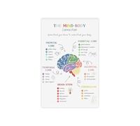 Polyvagal Theory Poster The Mind Body Nervous System Connection Chart for Trauma Informed Yoga Studio Calm Space(Framed,12x18inch(30x45cm))