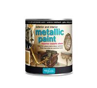 Polyvine CASMPAG1L Decorative Paints