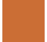 Polyvine Universal Acrylic Colourant RAW SIENNA
