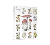 Pomegranate 1000-Piece Jigsaw Puzzle for Adults, Alexander Viazmensky's Mushrooms, Matte Finish, Snug Fit