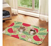 Pomegranate Fruit, Lovely Pomegranate Seeds, Fruit Pattern,Waterproof Pet Feeding Mat,Cat Dog Placemats for Food and Water, PU Leather Food Mats,40x60cm