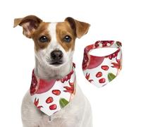 Pomegranate Fruits Seeds,Dog Bandanas Cotton Pet Scarf Adjustable Bibs for Pet,L