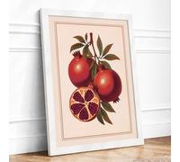 Pomegranate Study Botanical Framed Wall Art Print A2 (59.4×42cm) White, Wall Decor for Living Room, Bedroom, Office & Home, Ready to Hang, Art Gift