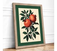 Pomegranate Study Botanical Framed Wall Art Print A3 (42×29.7cm) Oak, Wall Decor for Living Room, Bedroom, Office & Home, Ready to Hang, Art Gift