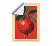 Pomegranate Study Botanical Unframed Wall Art Print A3 (42×29.7cm), Wall Decor for Living Room, Bedroom, Office & Home, Art Gift