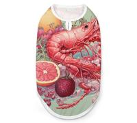 Pomegranates and Fruits Dog Shirt Quick Dry Breathable Pet T-Shirt Soft Stretchy Sleeveless Vest Dog Apparel L