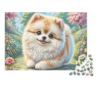 Pomeranian 1000 Pieces Jigsaw Puzzles Engaging Home Decoration Pomeranian in Garden Jigsaw Puzzles Beautiful Decoration for Adults And Kids 38x26cm/1000pcs