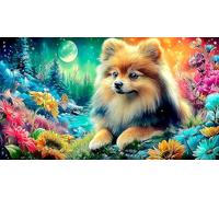 Pomeranian 1000Pc Jigsaw Puzzles for Adults and Kids Age 12 Years + Impossible Hard Difficult Great Gift Idea 70x50cm/1000pcs