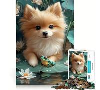 Pomeranian And Frog Animal 1000 Pieces Jigsaw Puzzles for Adults Memory Boost Home Pastime Image Assembly Wall Art Decor (50x75cm)
