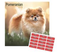 Pomeranian Calendar 2026 | 16 months | with FREE Organisational Stickers, Pomeranian Gift