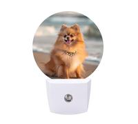 Pomeranian Dog Beach LED Night Light Plug in Night Light with Dusk to Dawn Sensor for Bedroom, Bathroom, Hallway 11.2x5x7.5cm