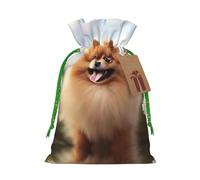 Pomeranian Dog Christmas Drawstring Sack Gift Bag, Lightweight And Cute In Design