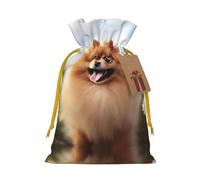 Pomeranian Dog Christmas Drawstring Sack Gift Bag, Lightweight And Cute In Design