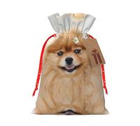 Pomeranian Dog Christmas Drawstring Sack Gift Bag, Lightweight And Cute In Design