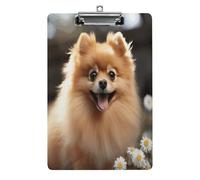Pomeranian Dog Clipboard Sturdy Low Profile Clip Clipboards Hanging Hole with Hanging Clipboard Acrylic Clip Board Holds 100 Sheets12.5x8.5In