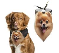 Pomeranian Dog Dog Bandana Triangle Dog Scarf Washable Polyester Dog Bibs Cute Pet Bandana for Medium Large Dogs Puppy and Cats