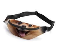Pomeranian Dog Fanny Packs with Zipper, Personalized Waist Bags with Multiple Pockets, Adjustable Sling Bag for Travel, Waterproof Belt Bag, Crossbody Bags for Unisex
