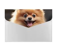 Pomeranian Dog File Folder 6-Pocket, Waterproof Accordion File Organizer with Snap Closure, Expanding Document Holder for Office, Home