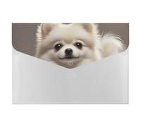 Pomeranian Dog File Organizer for Office,6 Pockets Expanding File Folder, Portable Accordion Folders for Desktop, Waterproof Paper Bill Receipt Organizer for Business
