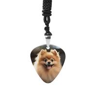 Pomeranian Dog Guitar Pick Necklace Exquisite Titanium Steel Personalized Necklaces Cool Pendant Necklaces Fashion Guitar Pick Holder Necklace Unique Gifts for Adult