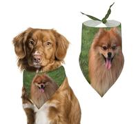 Pomeranian Dog Pet Bandana Dogs Triangle Scarf Cats Handkerchief Puppy Costume