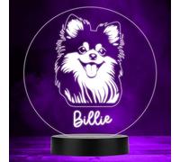 Pomeranian Dog Pet Silhouette Multicolour Personalised Gift LED Lamp Night Light | Personalised Gift For Home, Lamp Room Décor | Kids & Adults Night Lights With Name | Personalised Gift For Bedroom |
