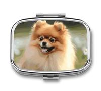 Pomeranian Dog Pill Box 2 Compartments Portable Travel Pill Case Mini Medicine Organizer for Pocket Purse Metal Waterproof Medicine Container Holder Vitamin Fish Oil