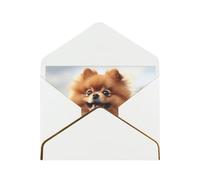 Pomeranian dog Printed Pearl Paper Greeting Card, White - Folded Blank Cards with Gold Trim for Weddings, Birthdays, Christmas