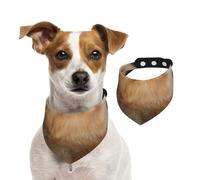 Pomeranian Dog Puppy Cute,Dog Bandanas Cotton Pet Scarf Adjustable Bibs for Pet,M