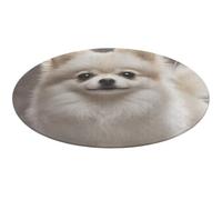 Pomeranian Dog Round Rug Soft Absorbent Bath Mat Entryway Anti Slip Rugs Farmhouse Front Back Door Mat 90 * 90cm for Bedroom Living Room Home Decorative