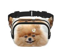 Pomeranian Dog Square Double Layer Waist Bag Belt Fanny Pack Purse with Adjustable Strap, Running, Travel, Hiking