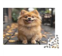 Pomeranian Jigsaw Puzzles Puzzle for Adults Kids. 1000 Pieces Autumn Leaves Falling Whimsical Challenge Toy Educational Game Home Decoration for Adults& Kids Age 14 Years Up 1000pcs (75x50cm)