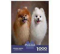 Pomeranian Portrait 1000 Piece Jigsaw Puzzle for Adults 1000 Pieces Puzzle Game Dog Art Relaxing 52x38cm/1000pcs
