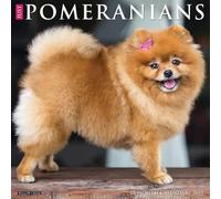 Pomeranians 2025 Wall