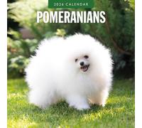 Pomeranians - 2026 Square Wall Calendar - by Red Robin Publishing