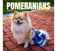 Pomeranians Calendar 2027: Fluffy Dogs and Home Life
