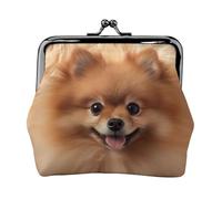 Pomeranians Pattern print Cute Buckle Coin Purses Vintage Pouch Kiss lock Change Purse Wallets for Women Fashion, Black, One Size, Vintage