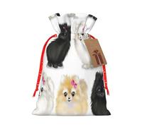 Pomeranians Pattern Print Drawstring Gift Bag,Reusable Sachets,Party Favors,Wedding,Festival,Birthday