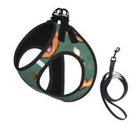 Pomeranians Pattern Print Soft Mesh Dog Harness and Leash Set Pet Puppy Cat Comfort Padded Vest No Pull Harnesses