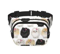Pomeranians Pattern Print Unisex Square Double Layer Waist Bag Crossbody Fanny Pack Travel Workout Accessory, Black, One Size