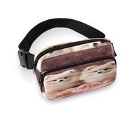 Pomeranians Puppies And Point Fanny Pack Belt Bag with Adjustable Strap Fashion Waist Bag for Outdoor Sports Hiking, white, 20x13cm, Full Printed Waist Bag