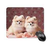 Pomeranians Puppies and Point Mouse Pad Square Laptop Mouse Mat Cute Computer Mousepad Keyboard Pad Non-Slip Desk Pads for Gaming Office Work Home 20 * 25cm