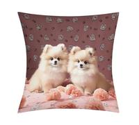 Pomeranians Puppies and Point Pillow Covers with Zipper for Sofa, Soft Plush Pillowcase for Living Room, Cozy Fluffy Cushion Covers for Bedroom, Breathable Throw Pillow Cover for Hotel, 18 in