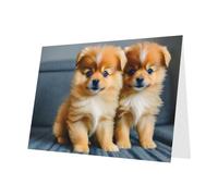 Pomeranians Puppies and Point Print Greeting card Blank card with envelope,Unique Designs for Festivals Invitations