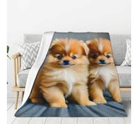 Pomeranians Puppies and Point Print Lightweight Warm Blanket Soft Thick Blankets Bedroom Camping Living Room Traveling