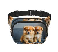 Pomeranians Puppies and Point Print Square Double Layer functionality Waist Bag Unisex Crossbody Pack Travel Workout, Black, One Size