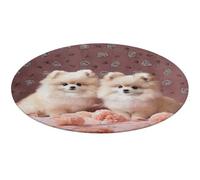 Pomeranians Puppies and Point Round Area Rug Non Slip Backing Doormat Water Absorbent Plush Throw Low-Pile Non-Slip Floor Mat Carpet for Living Room Bedroom Entryway Nursery Room 80 * 80cm