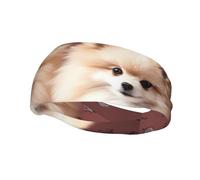 Pomeranians Puppies and Point Sports Sweatband Head Bands for Women Men, Lightweight Breathable Non Slip Workout Headbands Hairband for Fitness Running Cycling Hiking Yoga