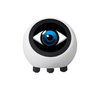 Pomoflexi 1.28inch LCD Touch Display - AI Voice Chat Robot for XiaoZhi Development Board Clock Desktop Ornament
