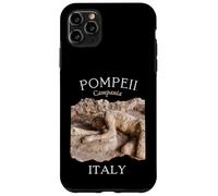 Pompeii Roman Empire Volcano European History Boys Women Men Case for iPhone 11 Pro Max